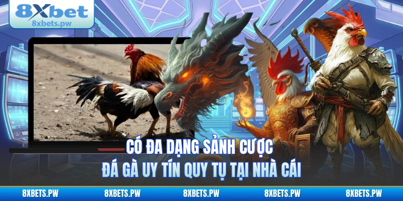 Có đa dạng sảnh cược đá gà uy tín quy tụ tại nhà cái