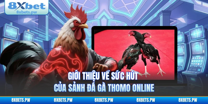 Giới thiệu về sức hút của sảnh đá gà Thomo online