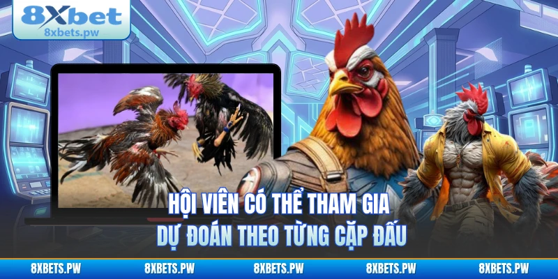 Hội viên có thể tham gia dự đoán theo từng cặp đấu