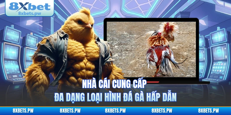 Nhà cái cung cấp đa dạng loại hình đá gà hấp dẫn