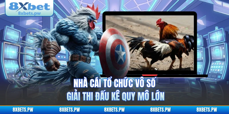 Nhà cái tổ chức vô số giải thi đấu kê quy mô lớn
