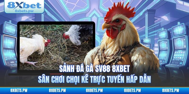 Sảnh Đá Gà SV88 8XBET - Sân Chơi Chọi Kê Trực Tuyến Hấp Dẫn